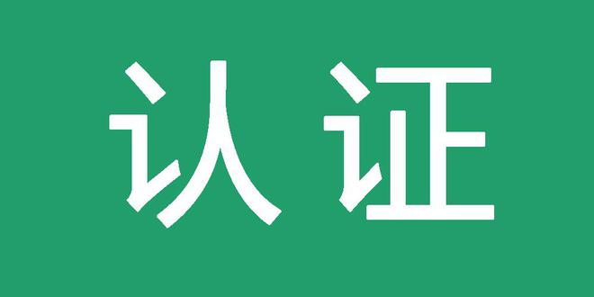 网站蜘蛛池程序下载